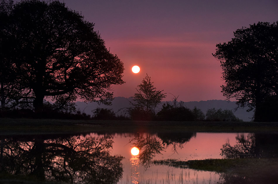 Join The New Forest Awakening Festival Netley Marsh
