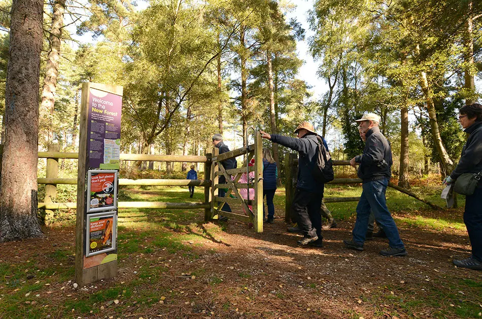 Popular New Forest Walking And Cycling Festival Returns For 2022 