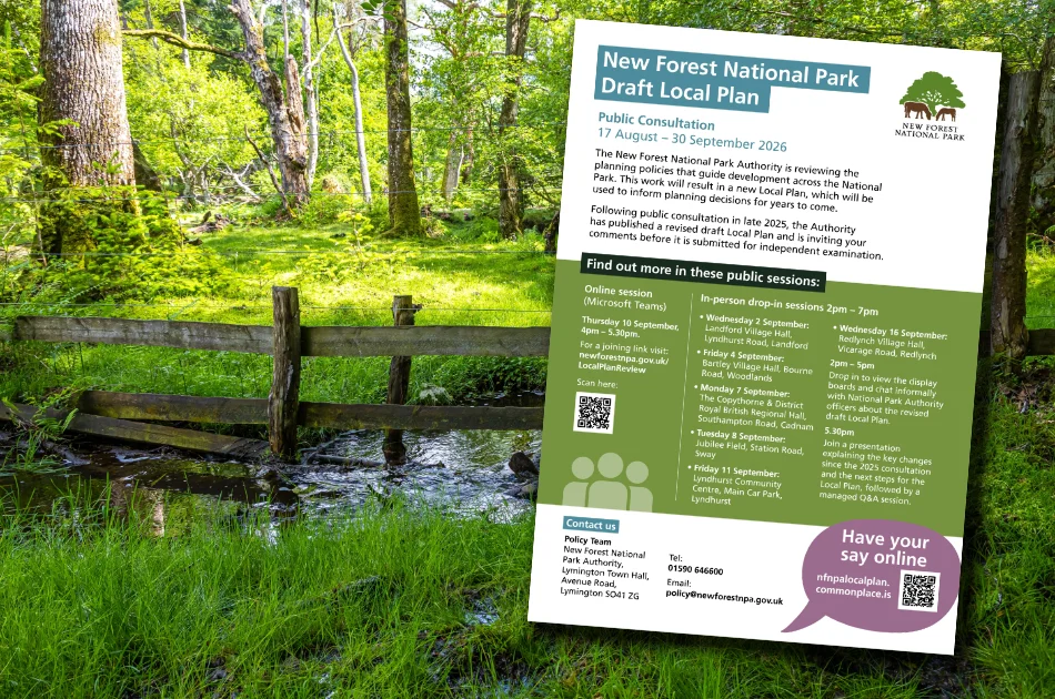 A poster about the New Forest National Park Draft Local Plan rests on grass beside a woodland stream. The poster details public consultation dates and contact information, with a background of trees and sunlight reflecting on water.